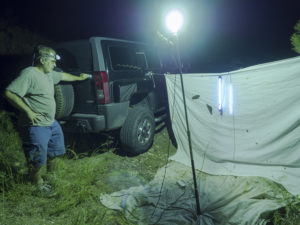 entomology insect light trap