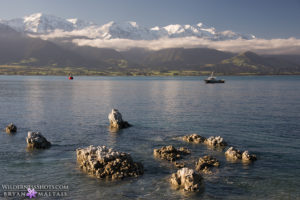 kaikoura-seaward-mountains-new-zealand-landscape-photography